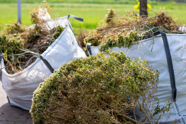 Trusted Bristol, VA Junk Removal Experts